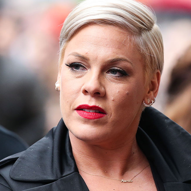 Pink Just Gave A Shocking Update On Her Health Status—it Was ‘brutal Shefinds