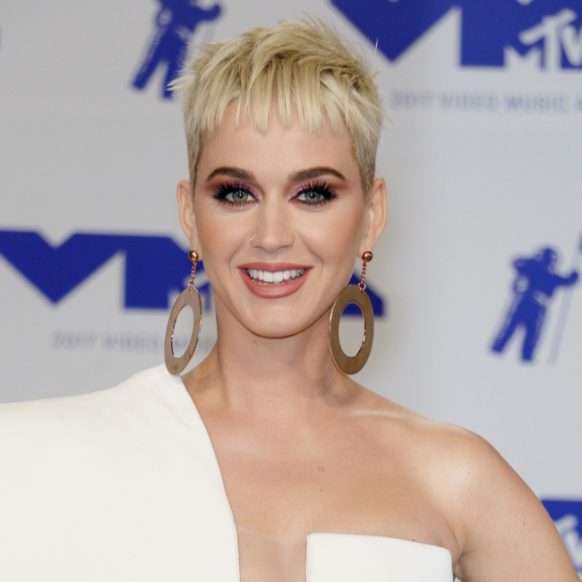 Katy Perry Put Her Curves On Full Display In This Red Lace Corset In ...