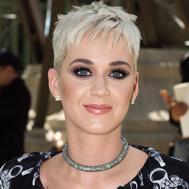 Katy Perry Shows Off Her Curves And Gushes About Being Given The Key To ...