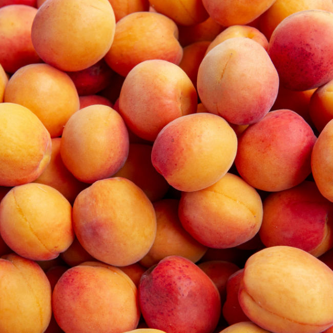 close-up of a bunch of apricots