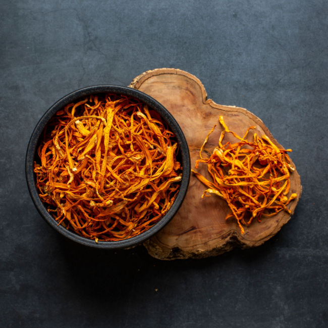 cordyceps in bowl