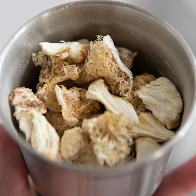 lion's mane in small container