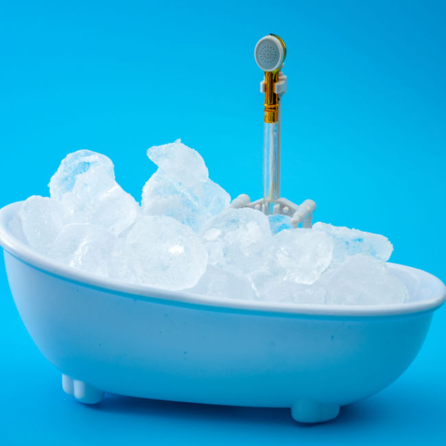 mini bath tub filled with ice