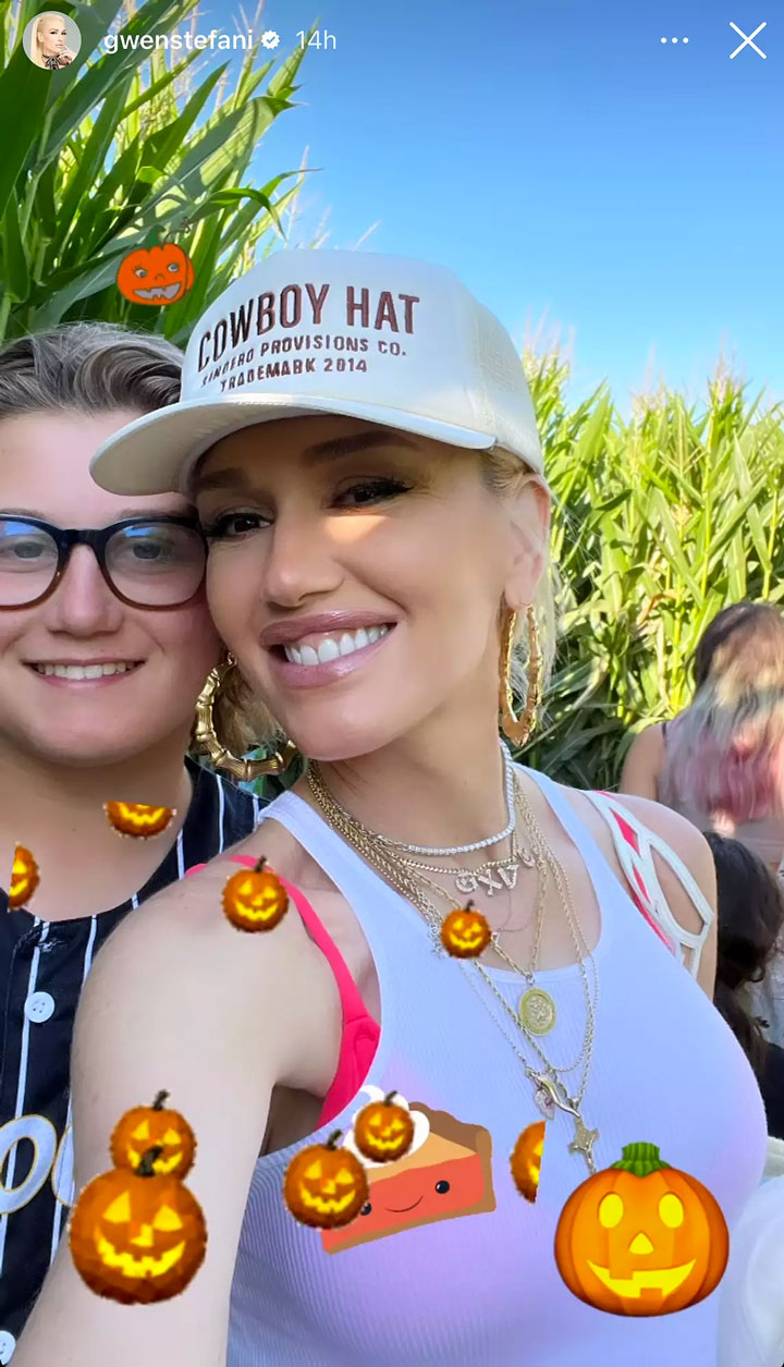 Gwen Stefani halloween Instagram story