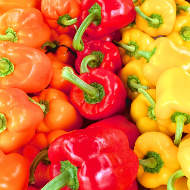 multi-colored bell peppers