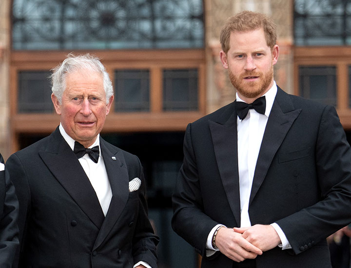 The Queen Reportedly Tried—And Failed—To Get King Charles And Prince ...