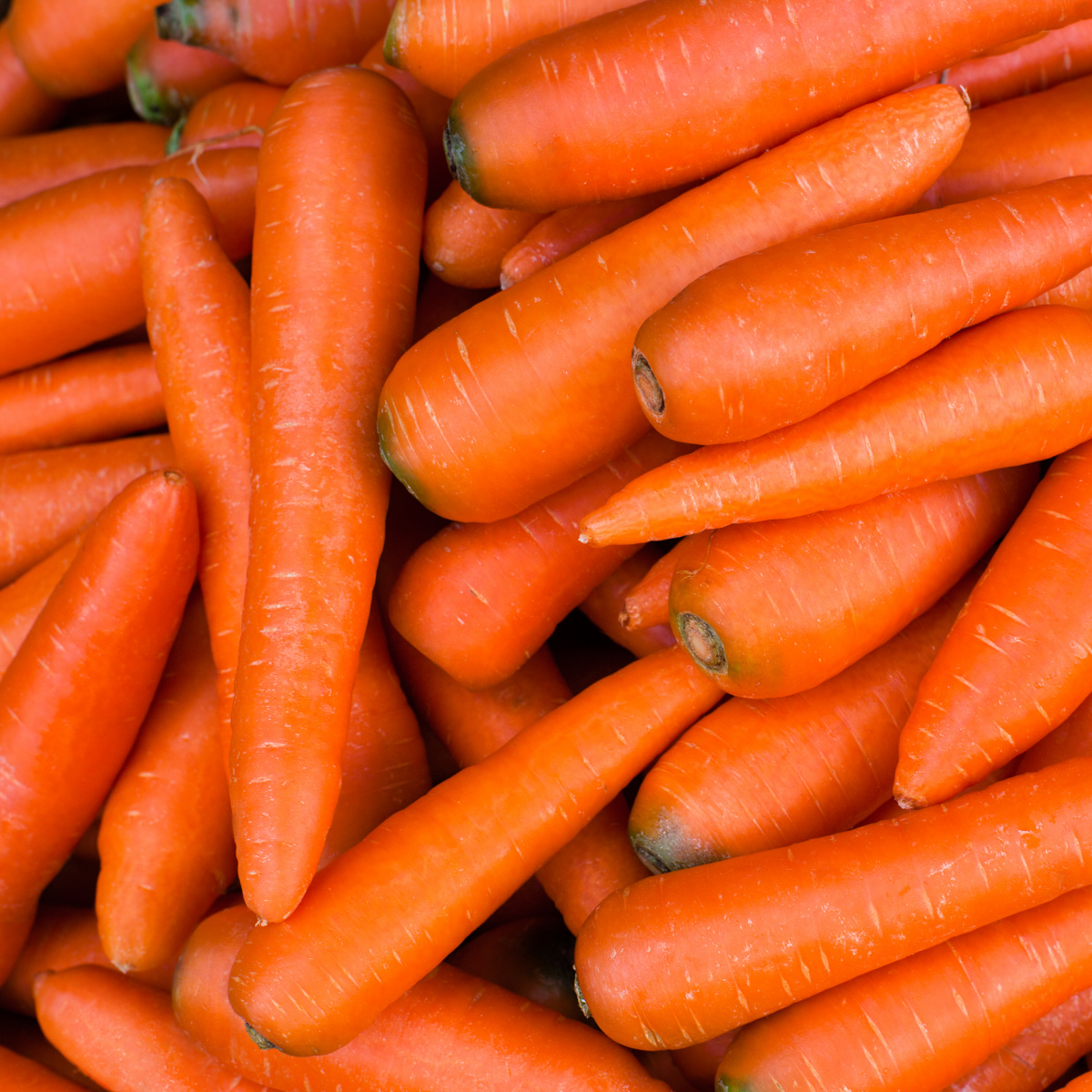 Photo of carrots.