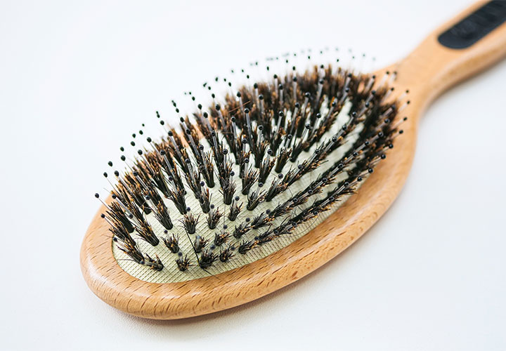 The Boar Brush