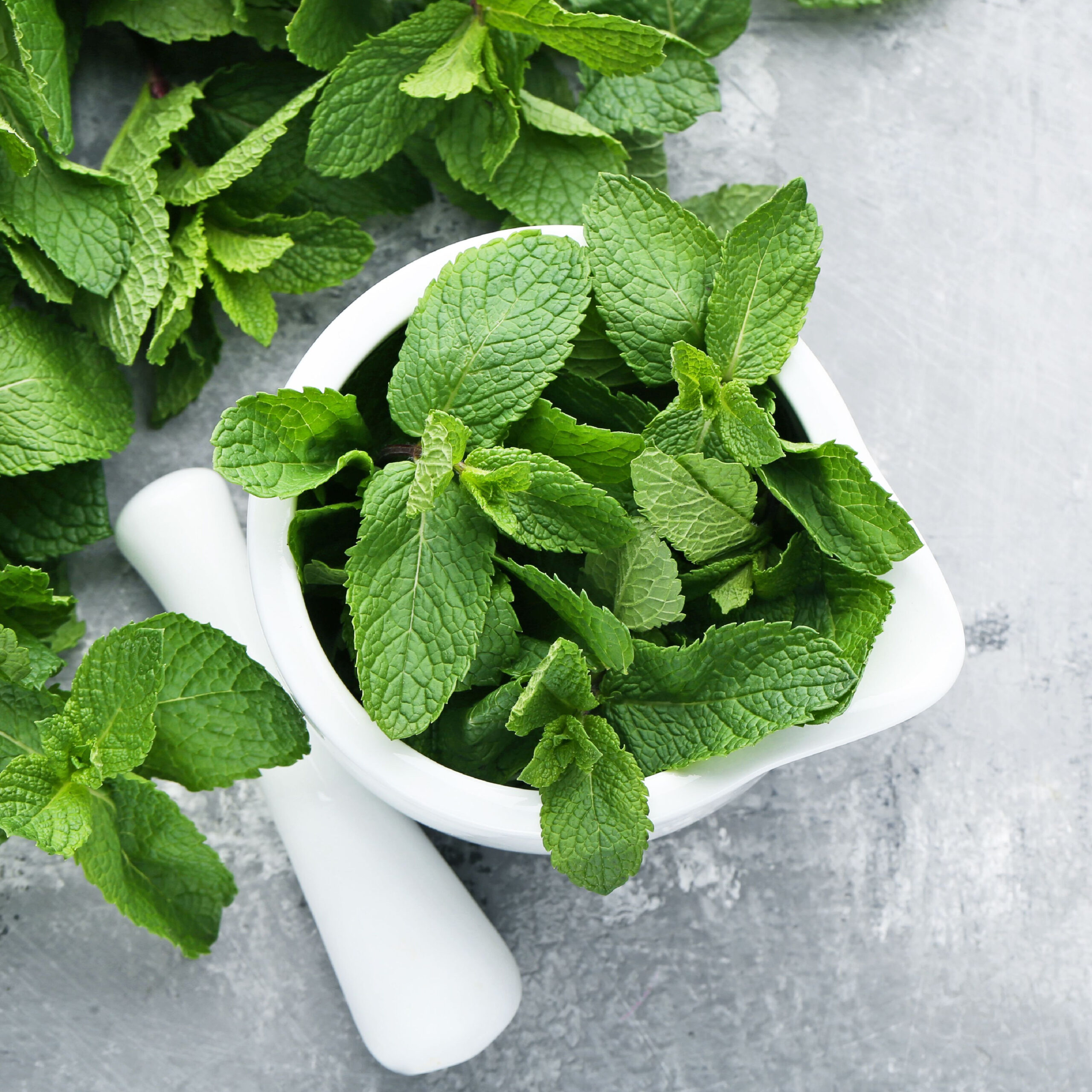 mint leaves in bowl