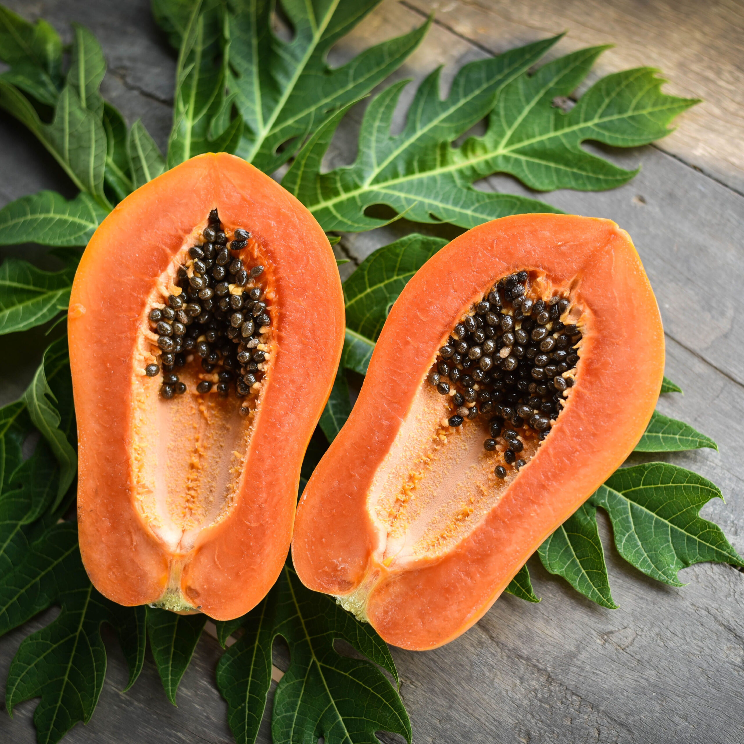 papaya