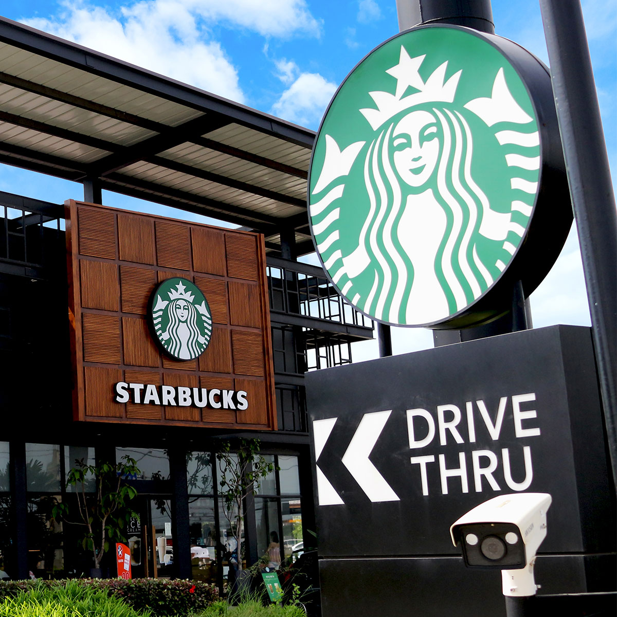 Starbucks Olive Oil-infused Coffees Go Nationwide After Customers Report ‘stomach Issues’