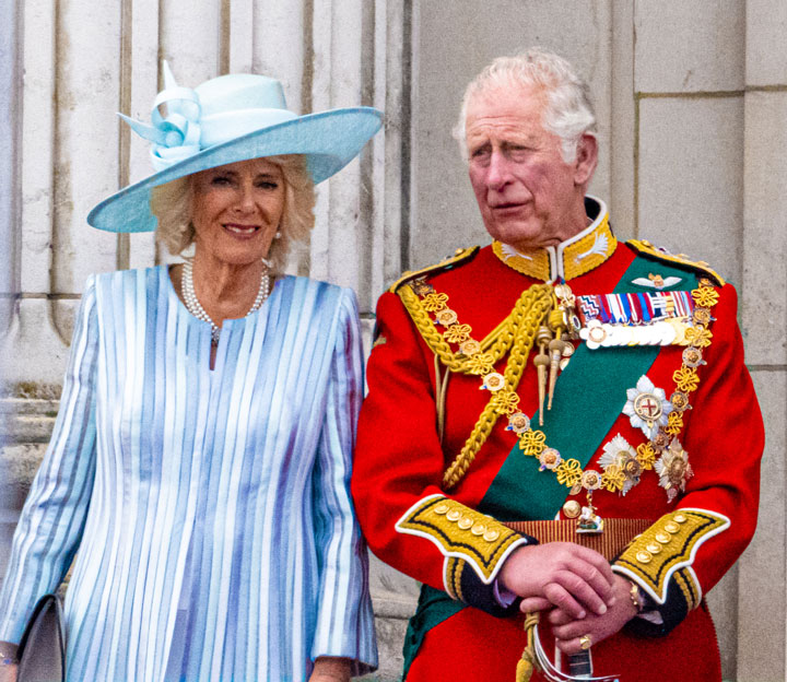 King Charles and Camilla at the 2022 Trooping the Colour celebration