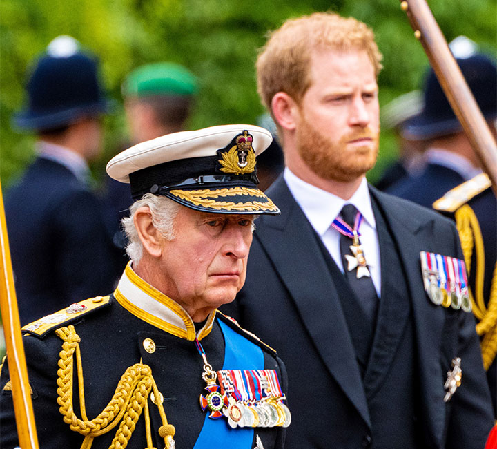 King Charles and Prince Harry at a formal event