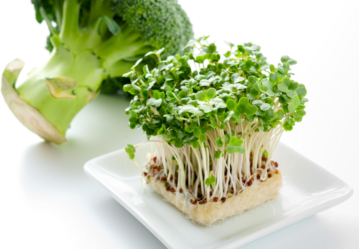 Broccoli sprouts and broccoli