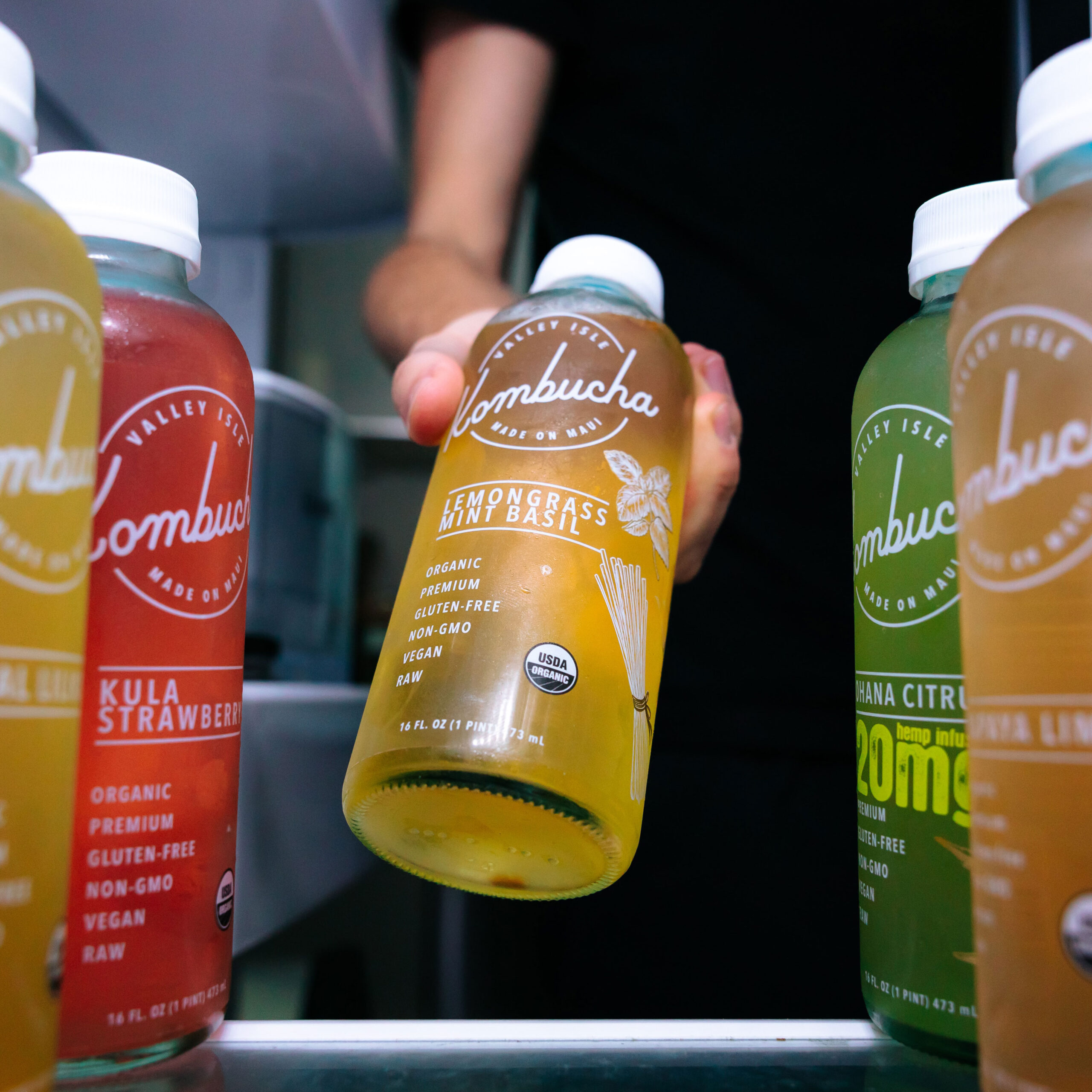 person taking bottle of kombucha from fridge