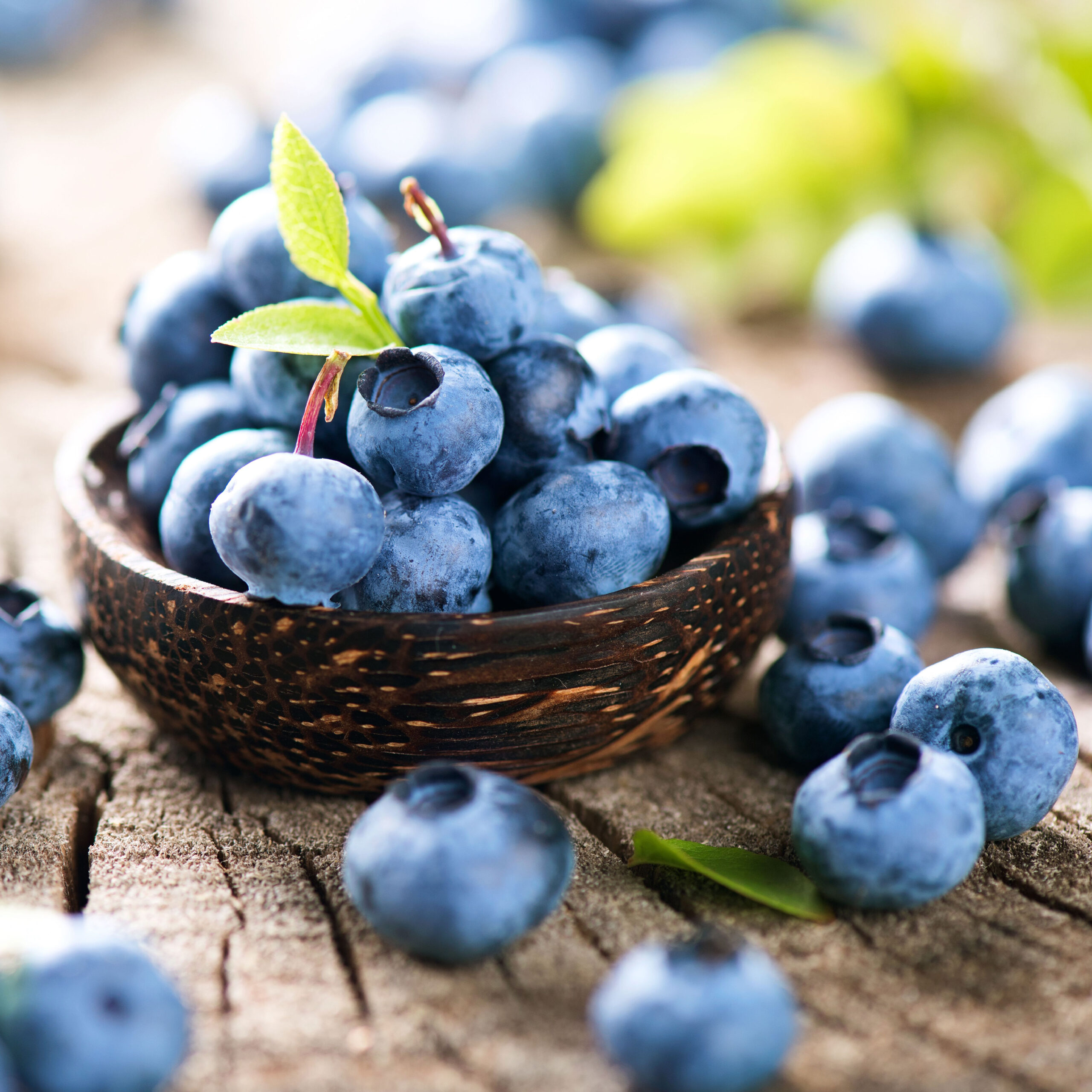 blueberries in baskset