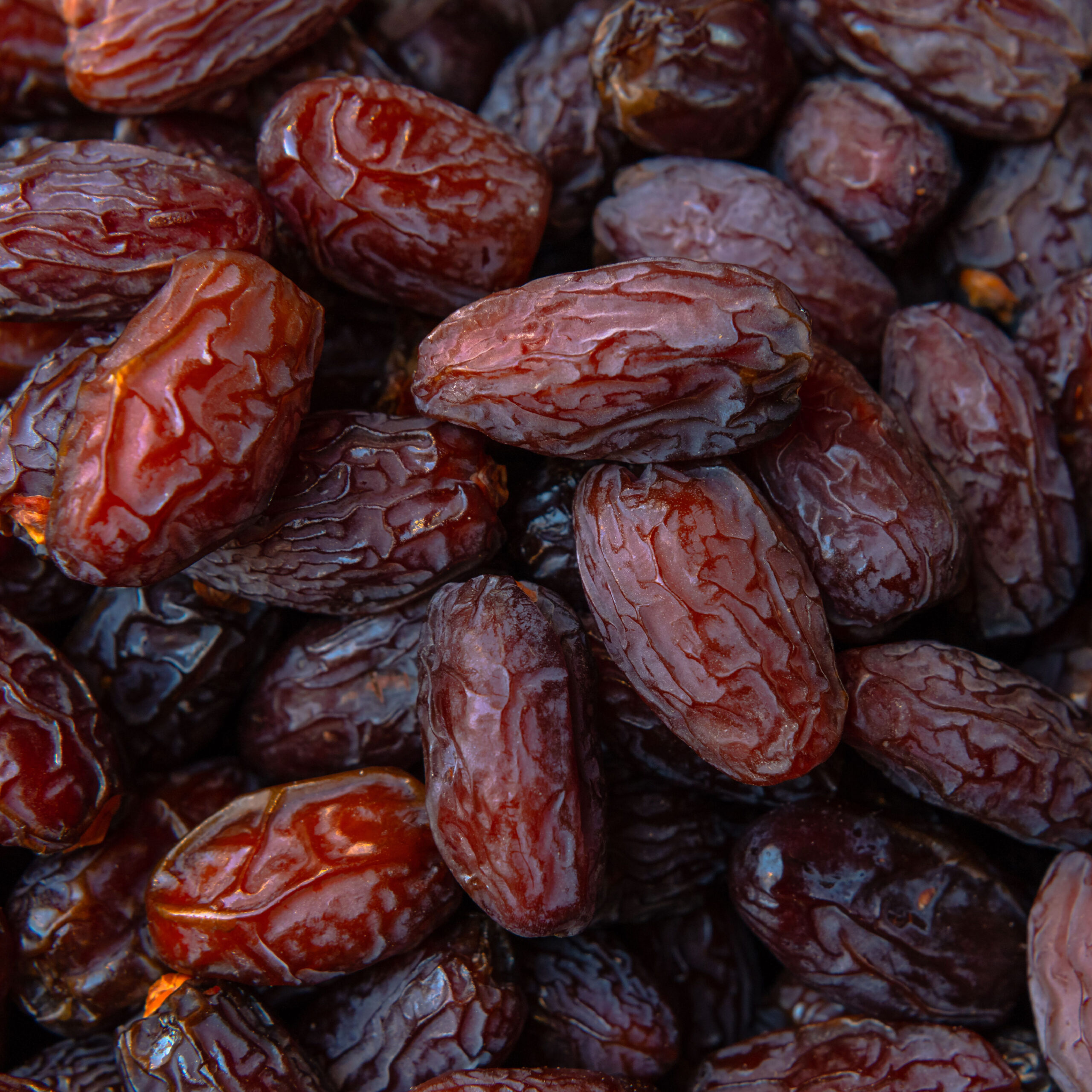 close up of medjool dates