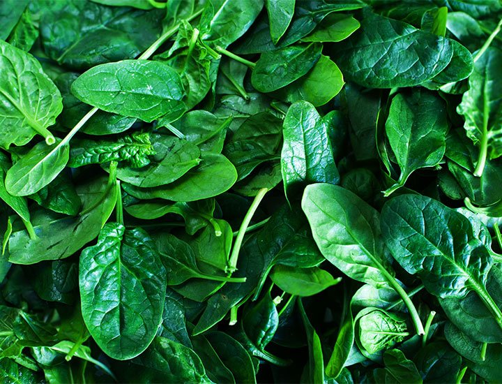 Spinach leaves