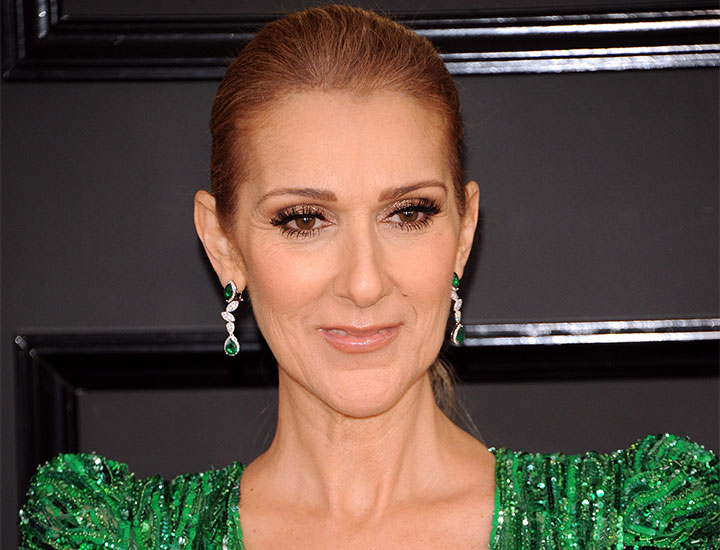 Celine Dion green outfit 59th Grammy Awards