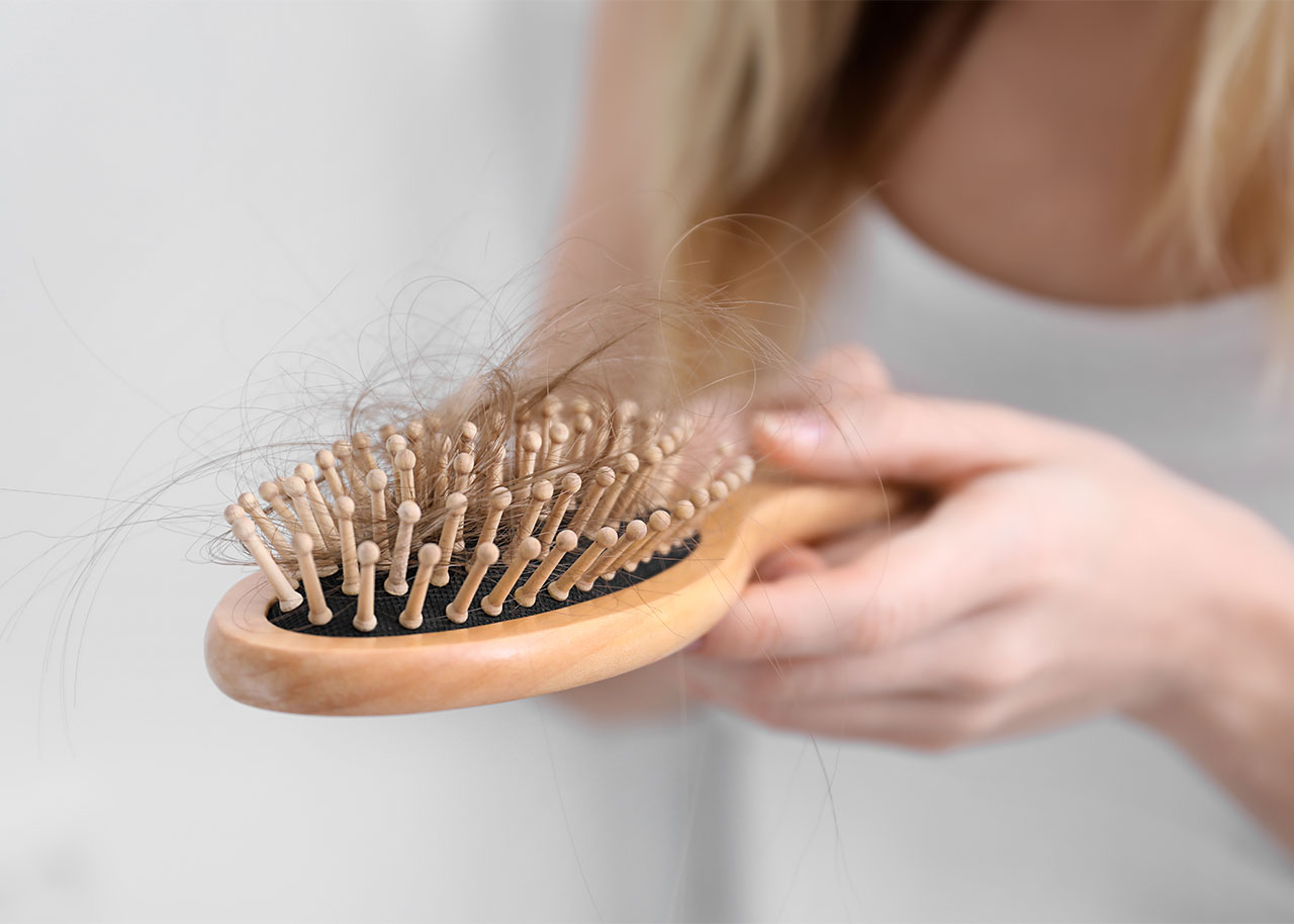 hair-shedding-brush