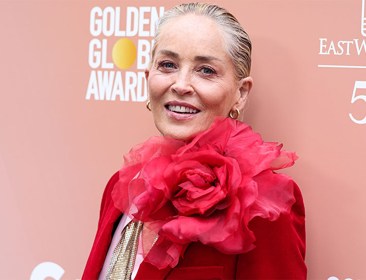 sharon stone fiery red suit red carpet hollywood floral applique piece close-up