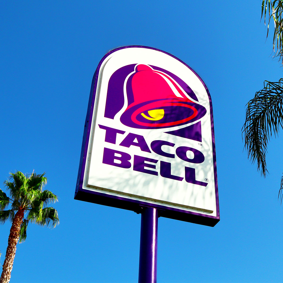 taco bell sign palm trees blue sky