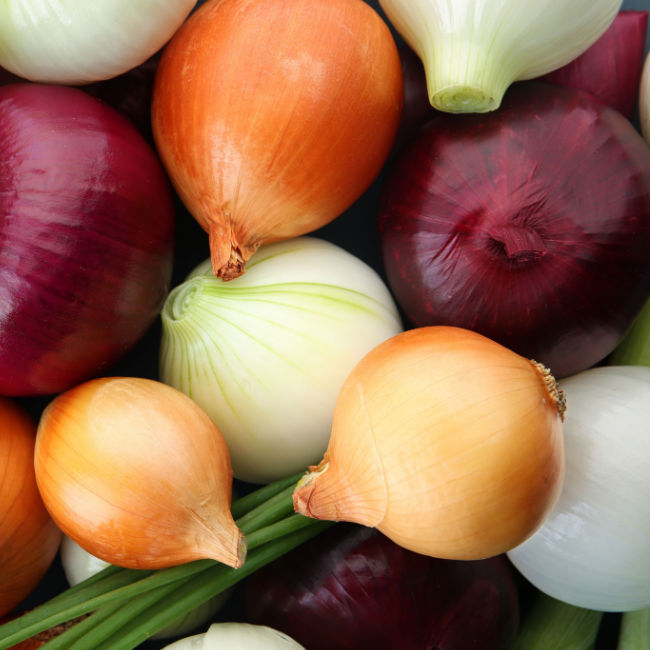 range of colored onions