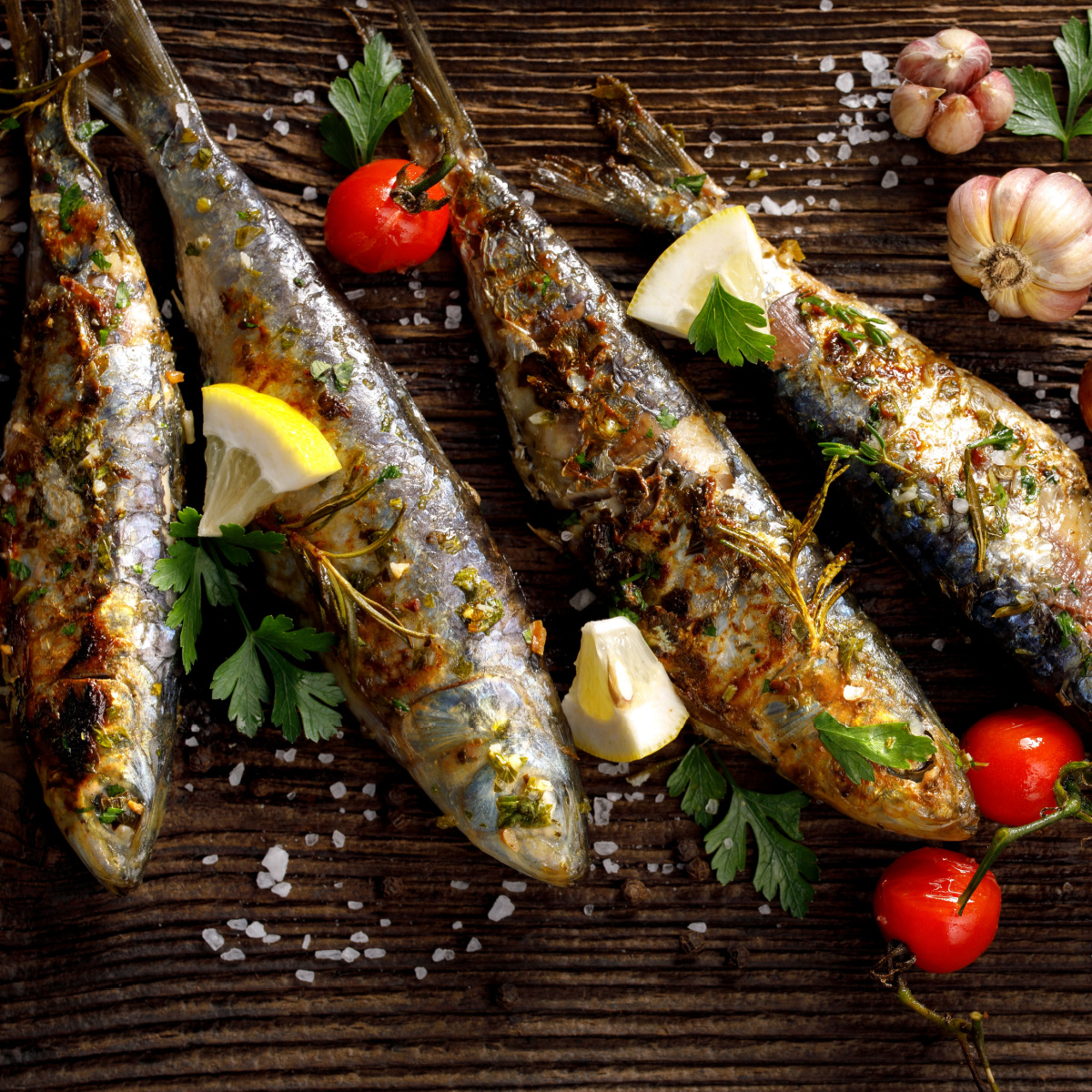 grilled sardines