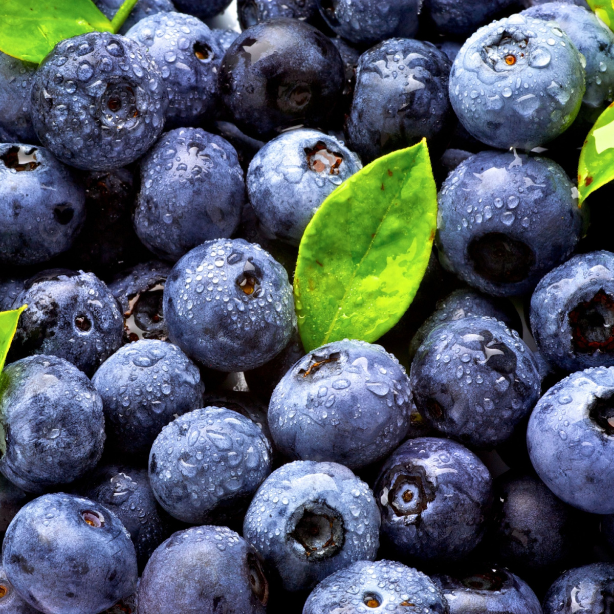 blueberries