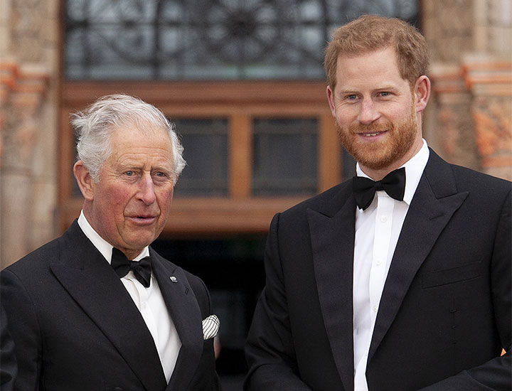 Prince Harry King Charles