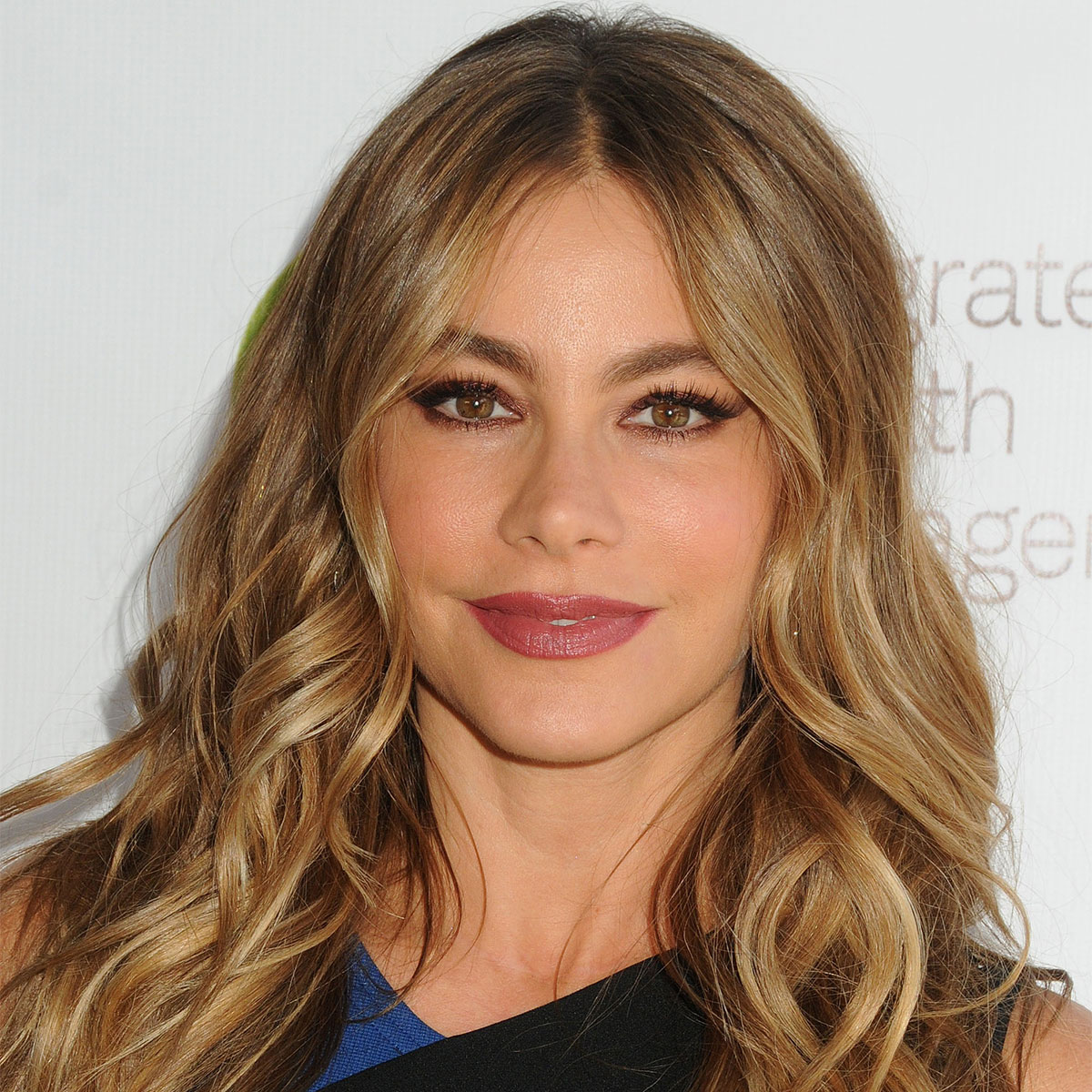 Sofia Vergara's Super Flattering Dress Looks SO Expensive–But It's Only $17  At Walmart! - SHEfinds