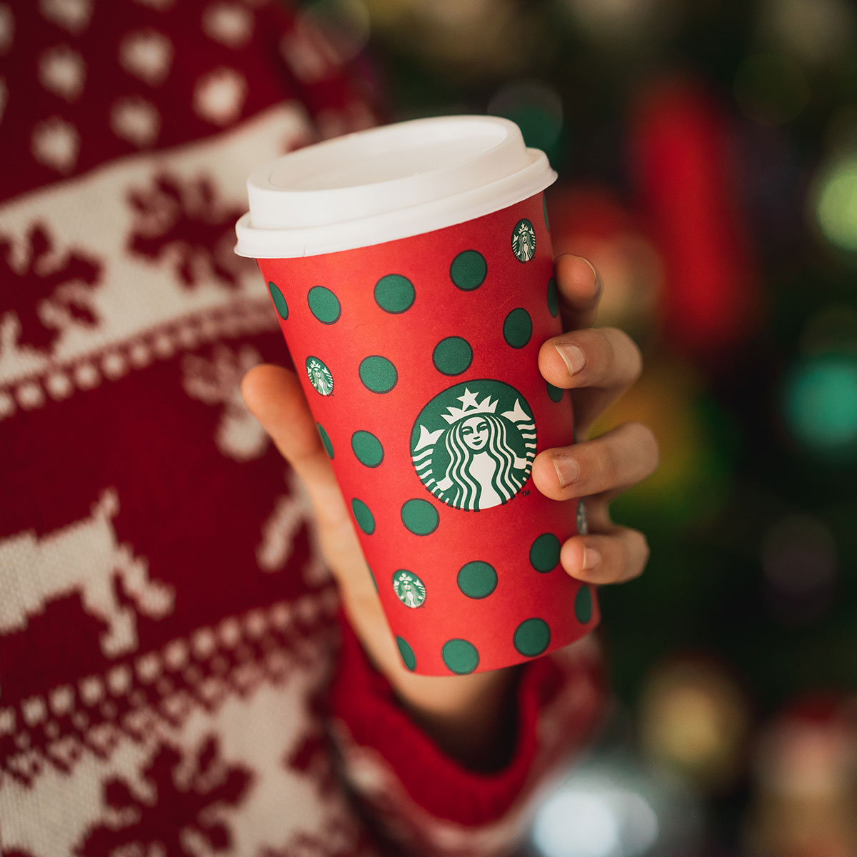 Starbucks Christmas Ceramic Cup with Plate 