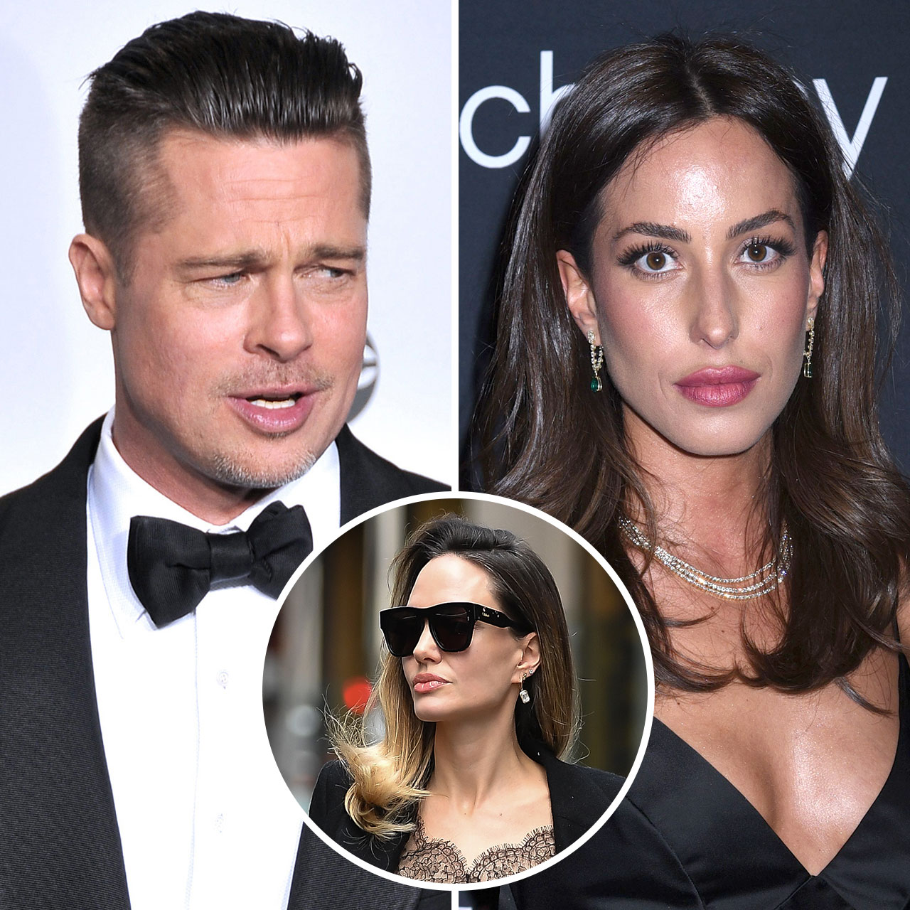 Who Is Brad Pitt's Rumoured Girlfriend, Ines De Ramon?