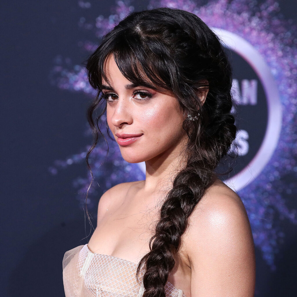 Camila Cabello Rocks Risqué Thong Dress Trend On Her Instagram As Drake  Dating Rumors Rage - SHEfinds