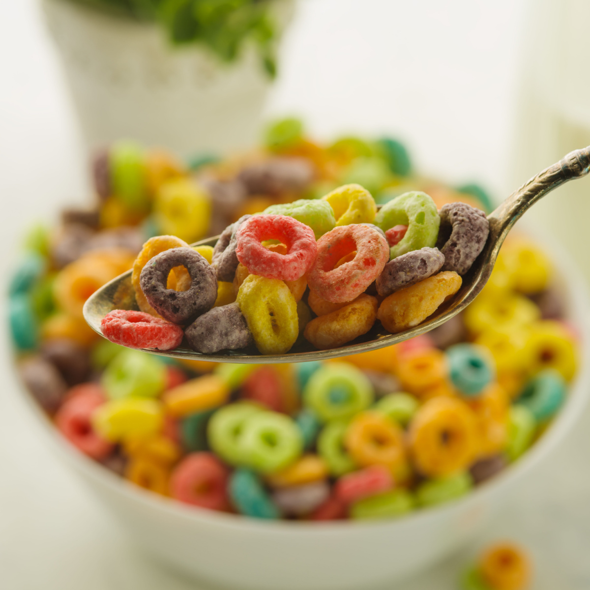 cereal closeup