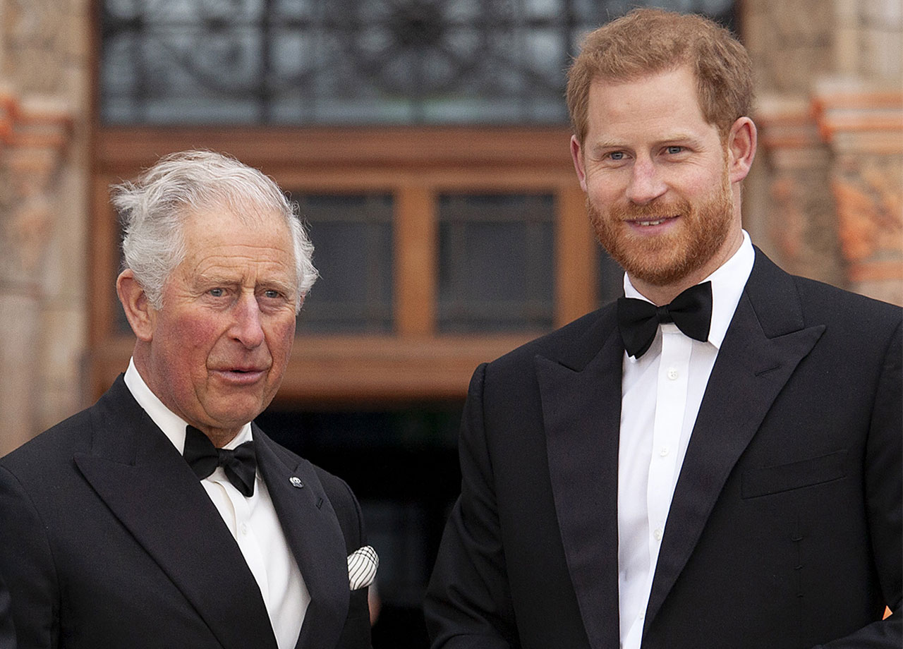 prince harry prince charles