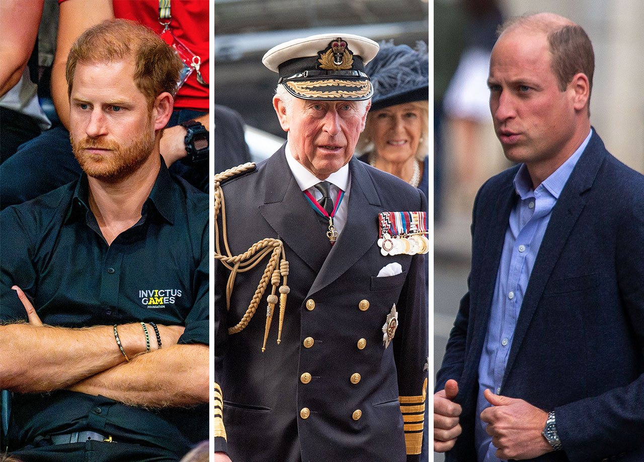 Prince Harry King Charles Prince William