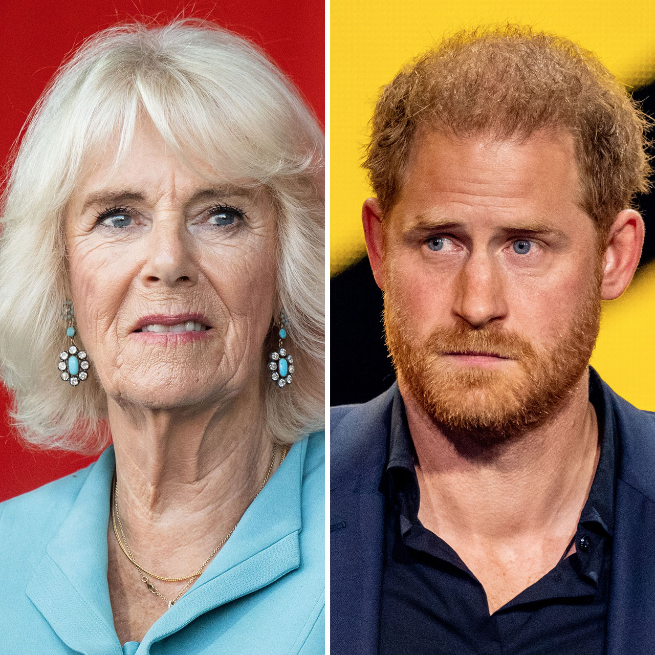 Queen Camilla Was Reportedly 'Outraged' By Prince Harry's Comments When  Visiting King Charles: He 'Came With An Attitude' - SHEfinds