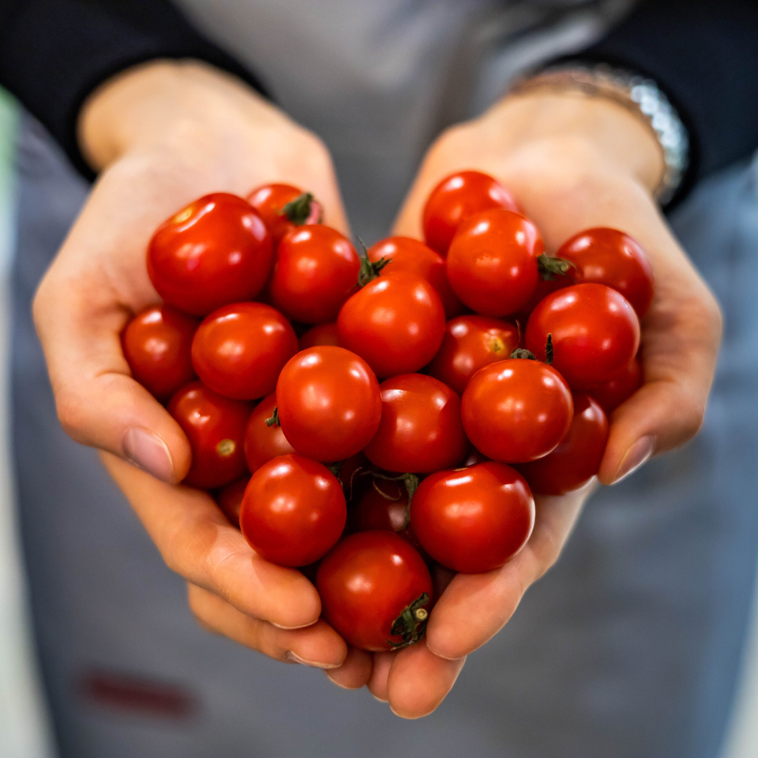 cherry tomatoes