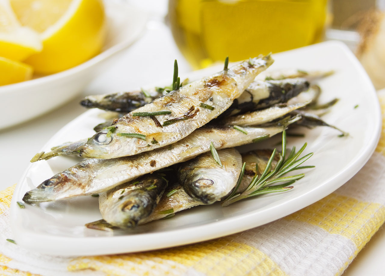 sardines