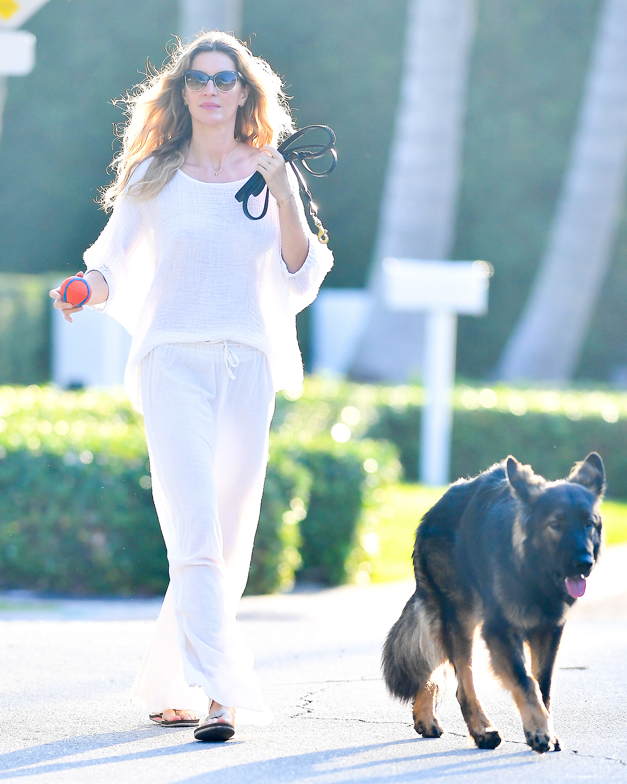 Gisele Bundchen comfy white outfit walking with dog Miami