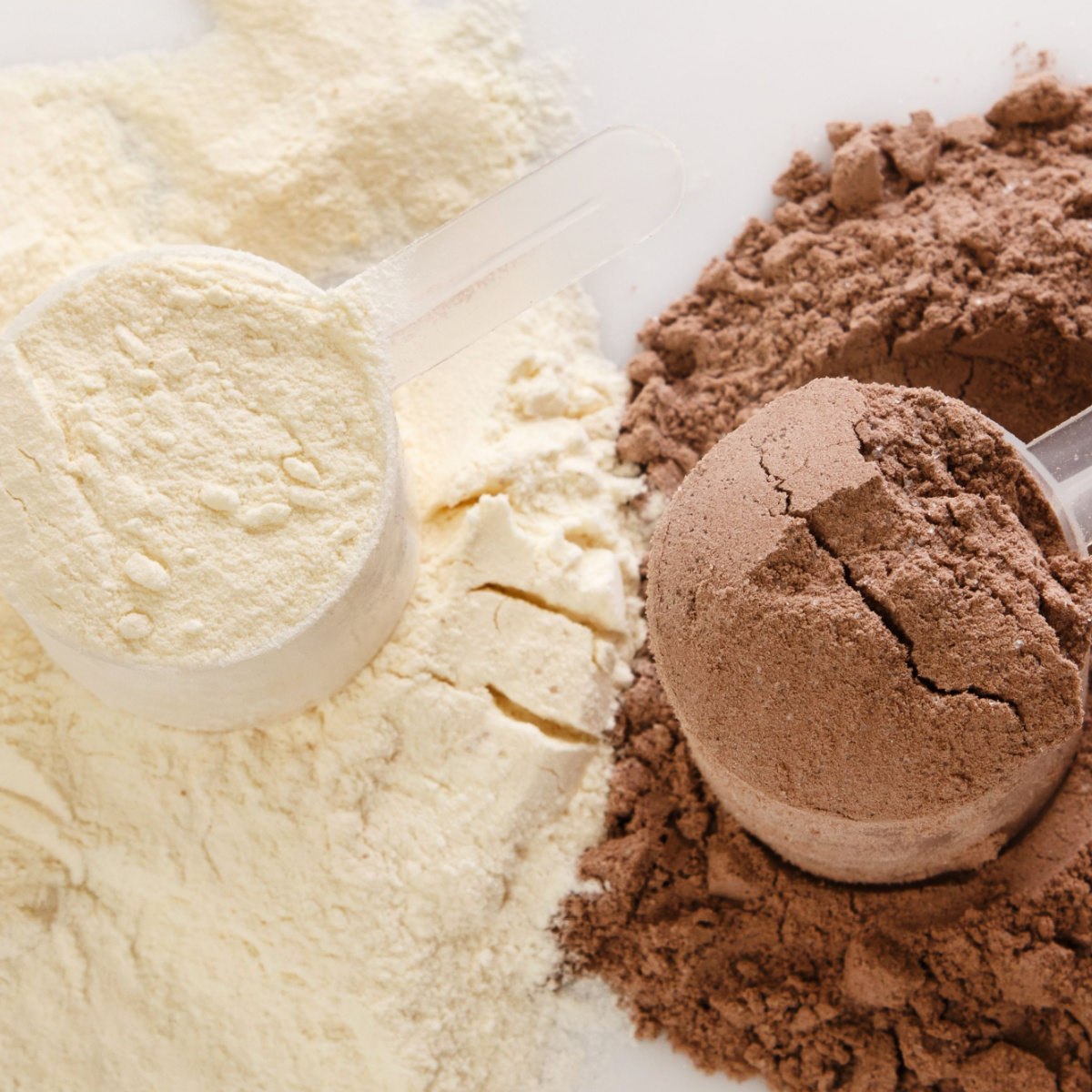 different protein powders