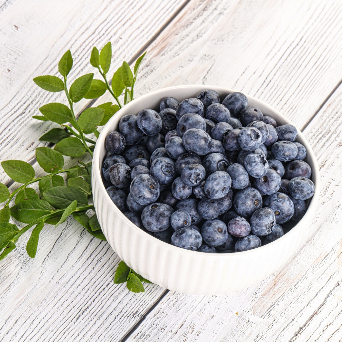 bowl of blueberries