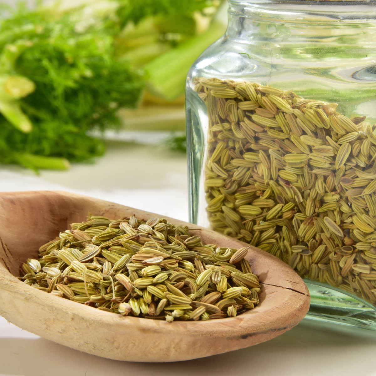 fennel seeds