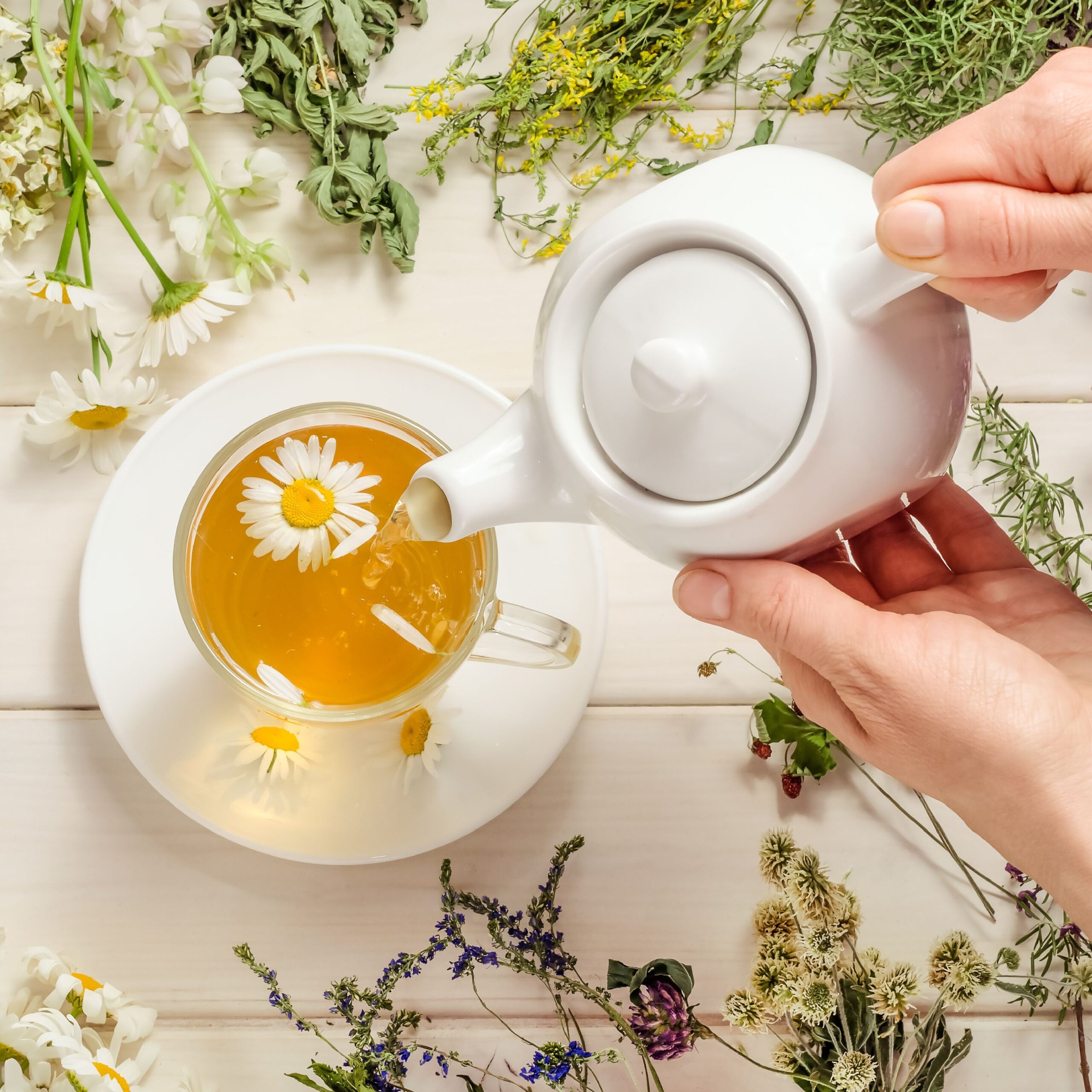 person pouring chamomile tea