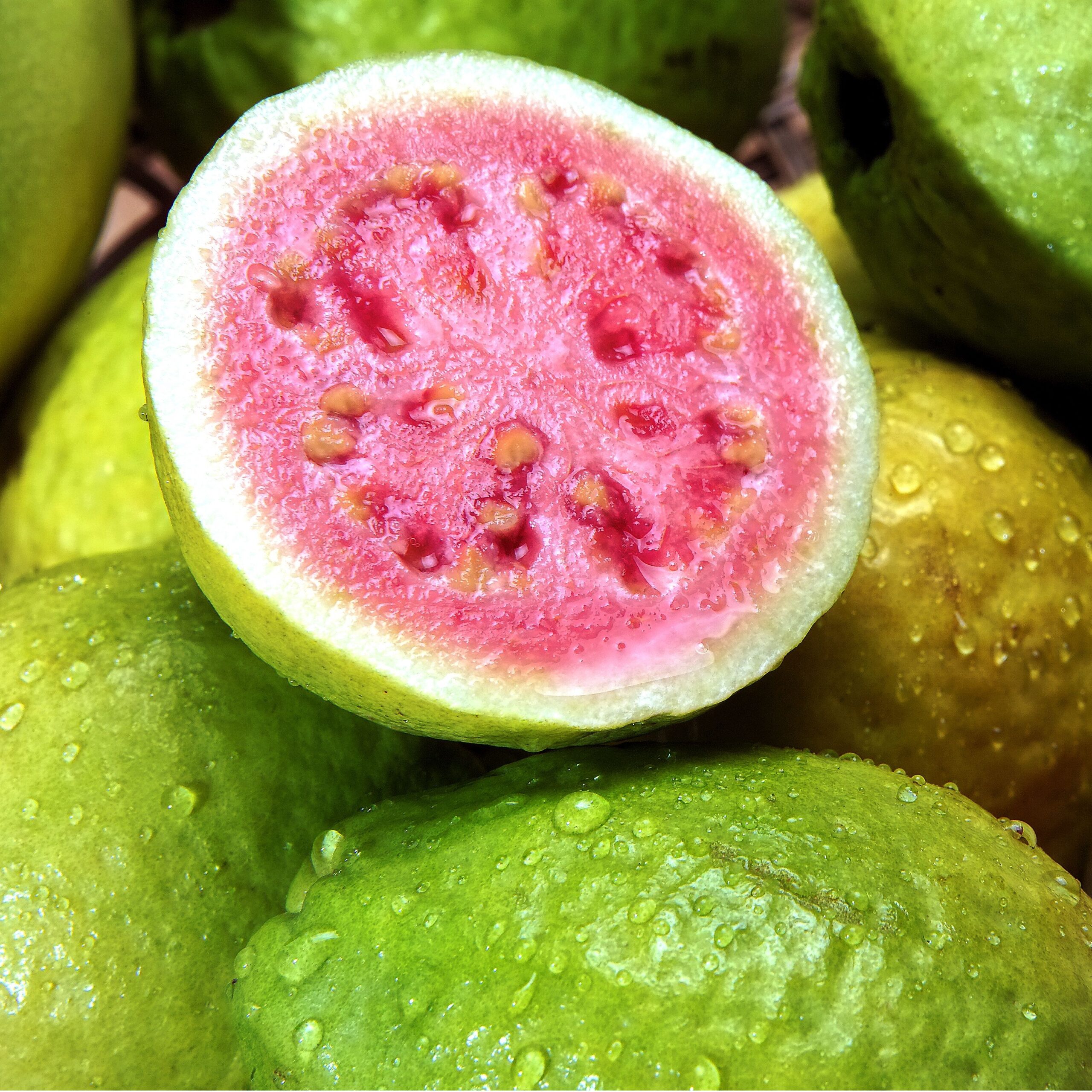 guava