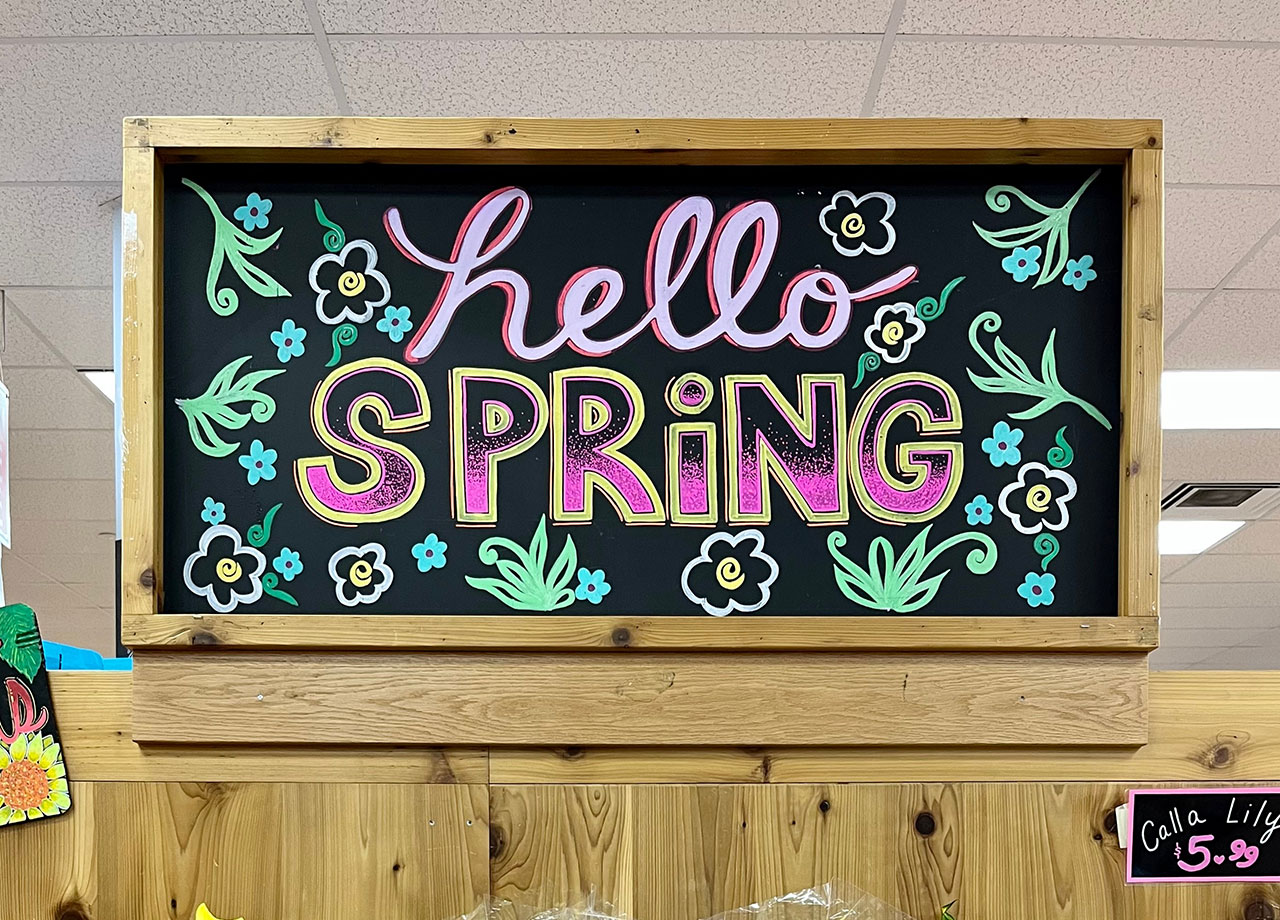 trader joes spring