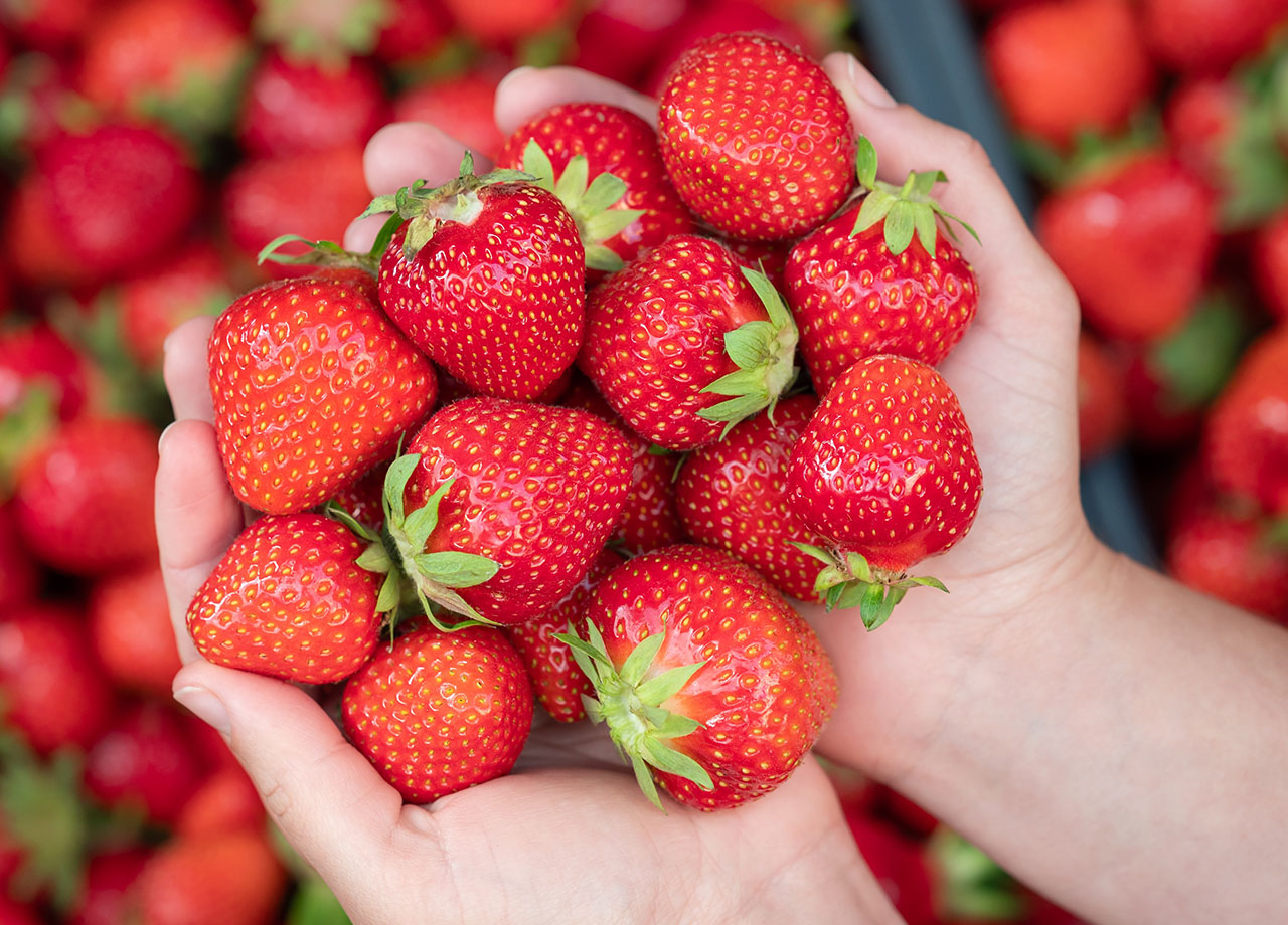 strawberries