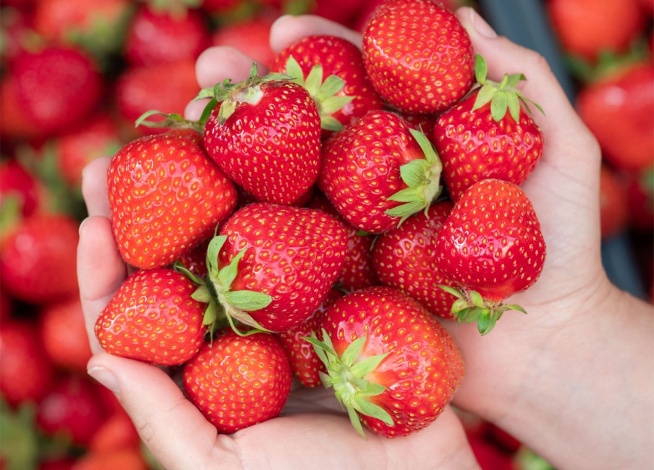 handfull of strawberries