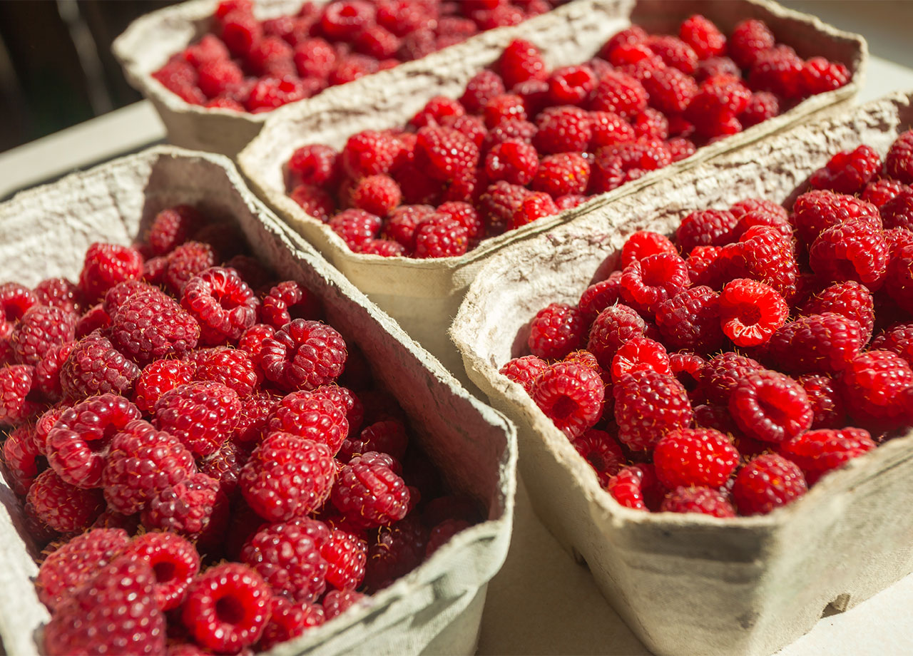 boxes of fresh raspberries